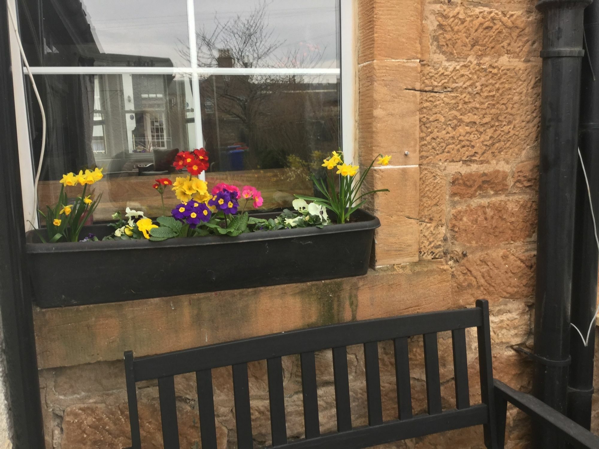 Craggallan Guest House Ayr Exteriör bild